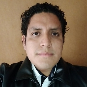 Ricardo - Profesor de física - Texcoco de Mora