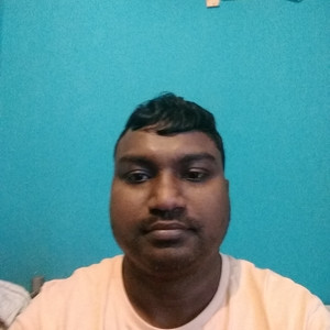 Seshagirirao - Maths tutor - Horsham