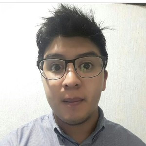 Elvis - Profesor de matemática - Madrid