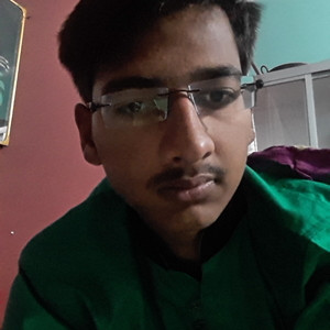 Harsh - Accounting tutor - Deipur