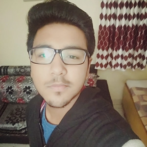 Abhinav - Physics tutor - Rajgangpur