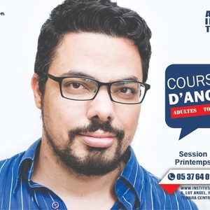 Institut - Prof de traduction - anglais - Marseille