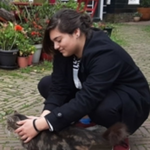 Nic - Leraar Wiskunde a - Houten