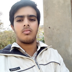 Hemant - Accounting tutor - Jaipur