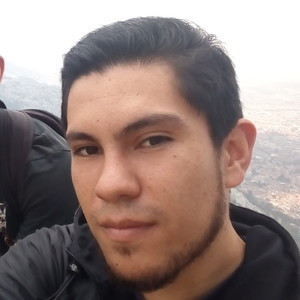Sebastian - Profe de matemáticas - Bogotá
