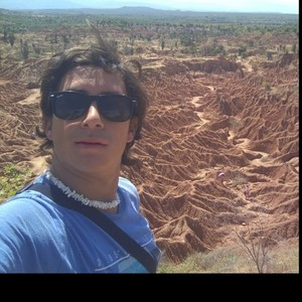 Diego - Profe de ciencias sociales - Bogotá