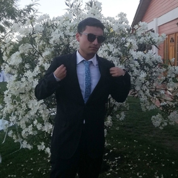 Diego - profesor de derecho constitucional - Talca