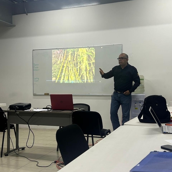Jorge Luis - Profe de coaching para buscar empleo - Xalapa-Enríquez