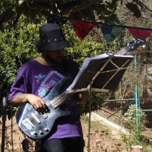 JuanPablo - Profe de bajo - Villa Alemana
