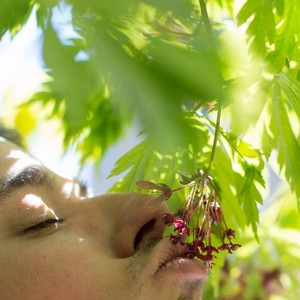 Victor - Prof de skate - Limoges