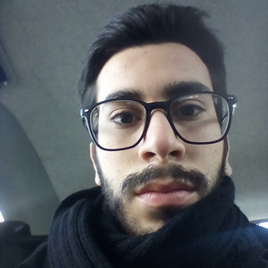 Davide - Insegnante di pittura - Parma