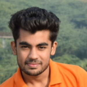Himanshu - Accounting tutor - New Delhi