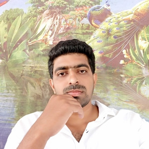 Naveen Kumar - Accounting tutor - Hyderabad