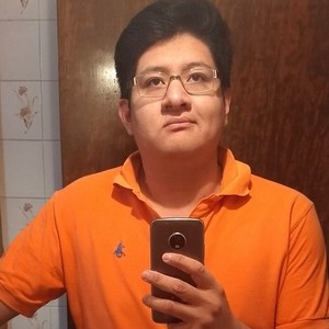 Luis Enrique - Profe de programación - Ciudad de México