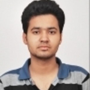 SANJAY - History tutor - Delhi