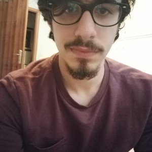 Alessio - Insegnante di ripetizioni - Milano
