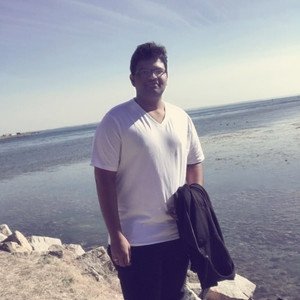 Vishnu - Maths tutor - Bundoora