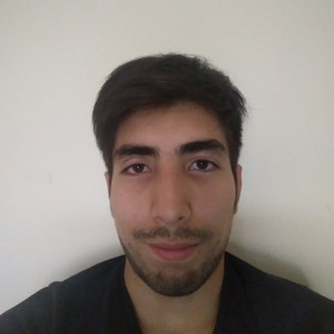 Nicolás - Profesor de inglés - Rinconada