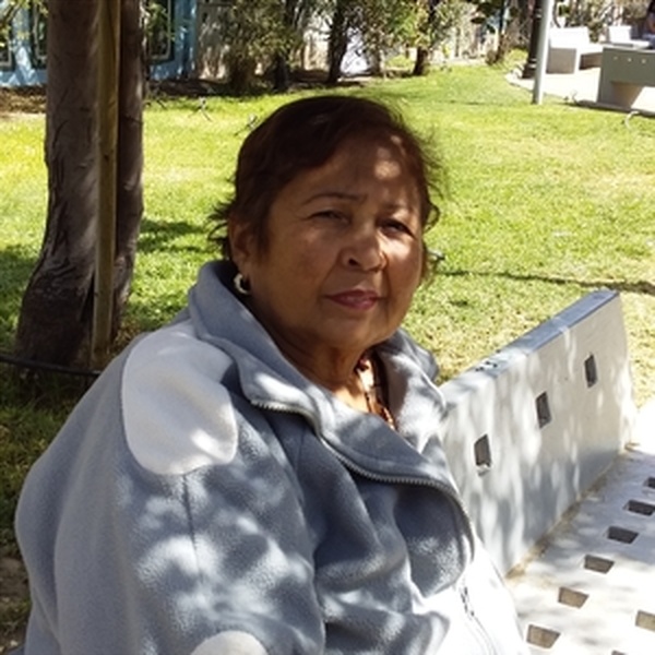 Ledys - Profesor de bricolaje - Santiago