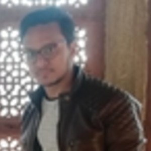 Amit - Microsoft excel tutor - Lucknow
