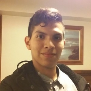 David - profesor de biología - Viña del Mar