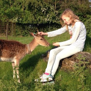Lilly - Lehrkraft für Englisch (mündlich) - Hövelhof
