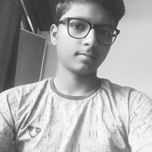 Rajat - Political science tutor - 