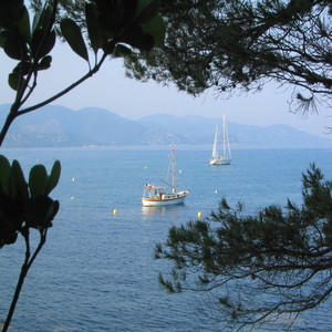 Anne - Prof de français - Boulay-Moselle