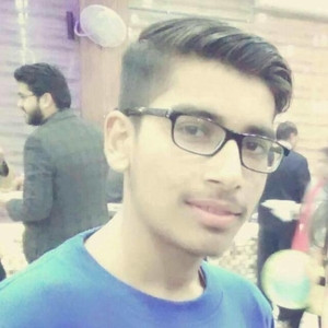 Rahul - Accounting tutor - Delhi