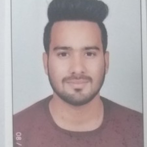 Vaibhav - Accounting tutor - Sahibzada Ajit Singh Nagar