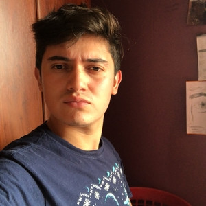 Ernesto - Profe de matemáticas - Temuco