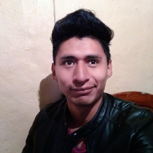 Zauul - Profesor de matemáticas - CDMX