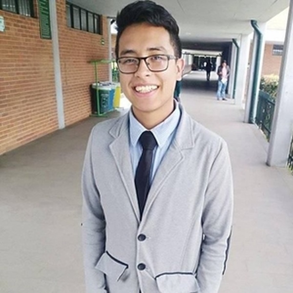 Luis - Profe de apoyo escolar - Bogotá