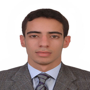 Anas - Prof de maths - Brest