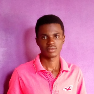 Nebeolisa - Maths tutor - Nsukka