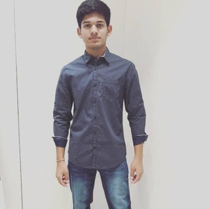 Aayush - Accounting tutor - Greater Noida