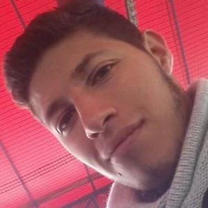 BRAHYAN - Profesor de lenguaje y comunicación - Bogotá