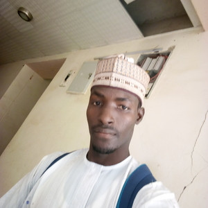 Toheeb - Economics tutor - 