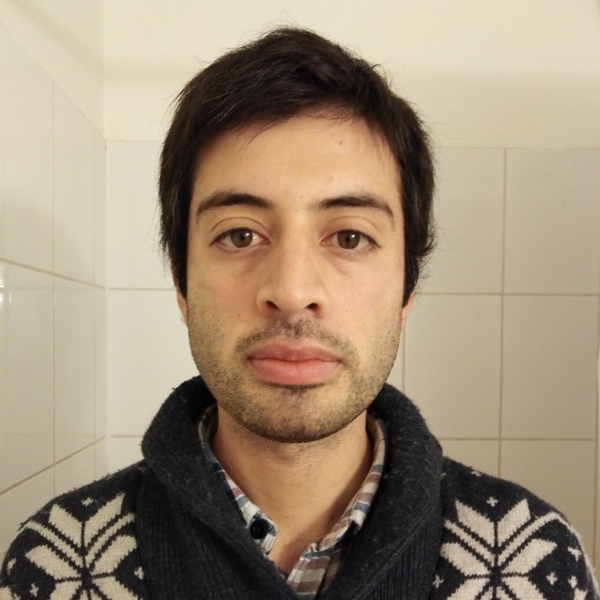 Bastian - profesor de inglés - Curicó