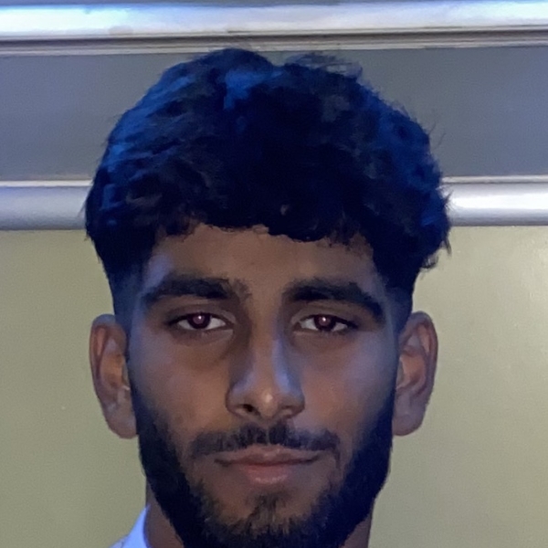 Arvind - Prof economics - Chelmsford