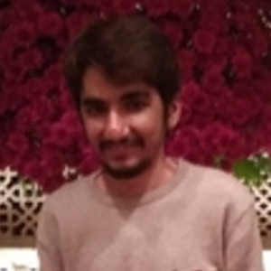 Hitesh - Programming languages teacher - Kalyan