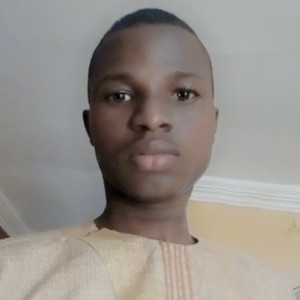 Taiwo - Web design tutor - Ota