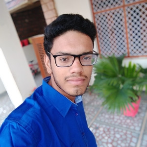Naveen - Physics tutor - Jodhpur
