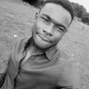 Stephen - Maths tutor - Nsukka