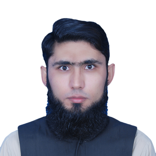 Adeel - Maths tutor - London