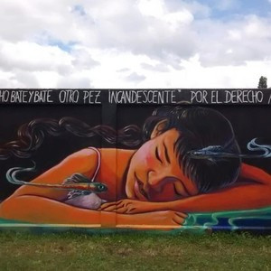 Shirley - Profesor de artes plásticas - Santiago