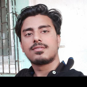 Himanshu - Physics tutor - Nagpur