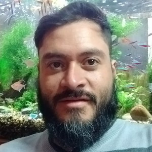 Jack - Profe de dessin - Bogotá