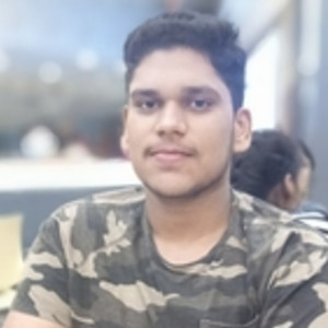 Syed - Accounting tutor - Noida