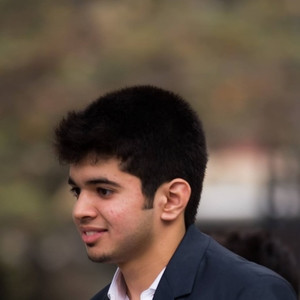 Bhavik - Accounting tutor - London